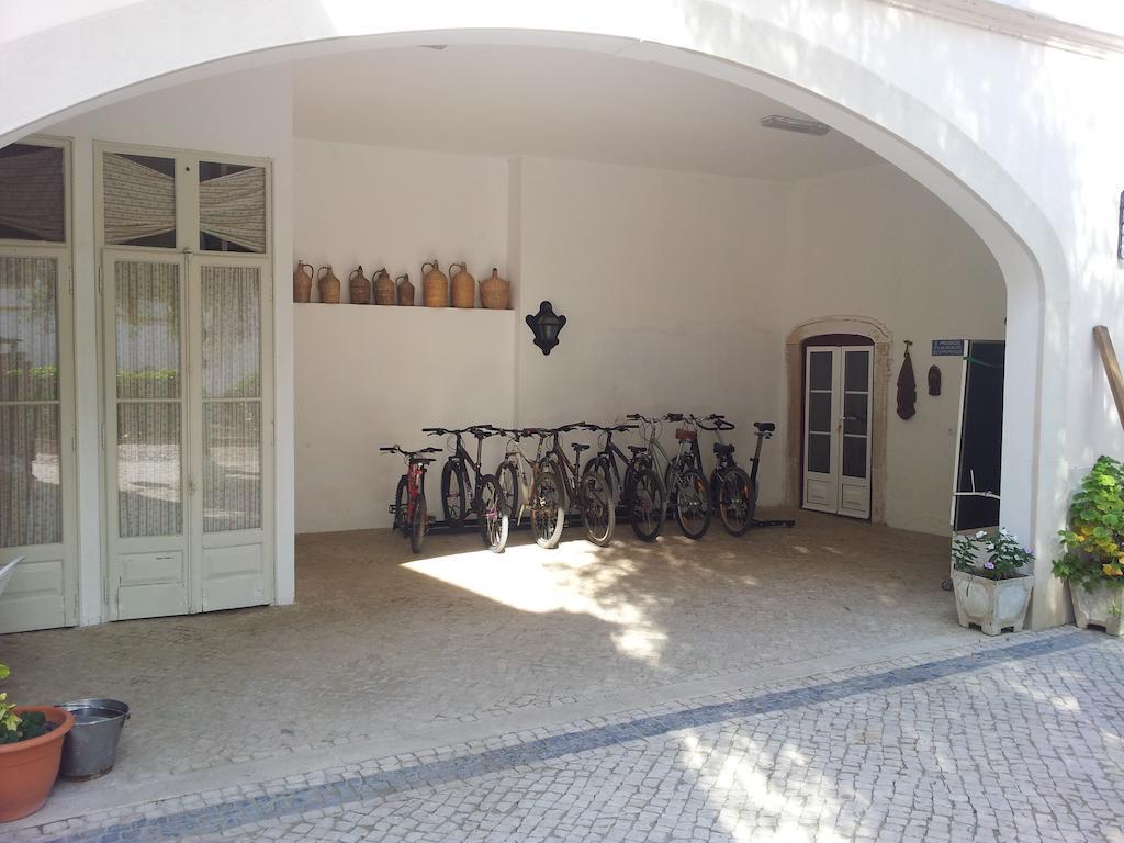 Casa Da Tia Guida Bed & Breakfast Golegã Dış mekan fotoğraf