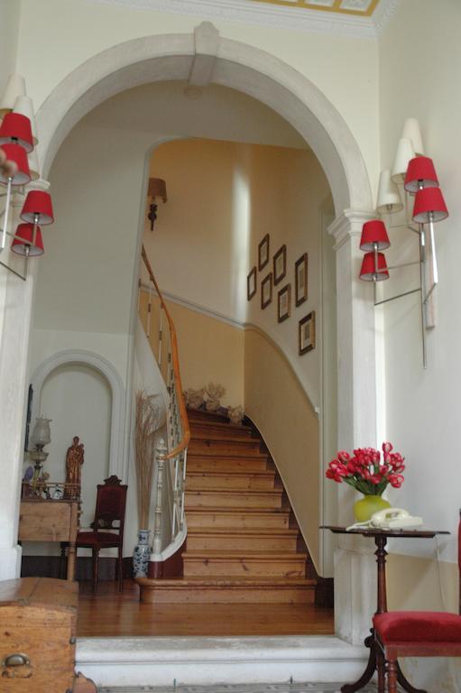 Casa Da Tia Guida Bed & Breakfast Golegã Dış mekan fotoğraf