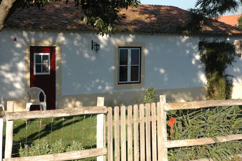 Casa Da Tia Guida Bed & Breakfast Golegã Dış mekan fotoğraf